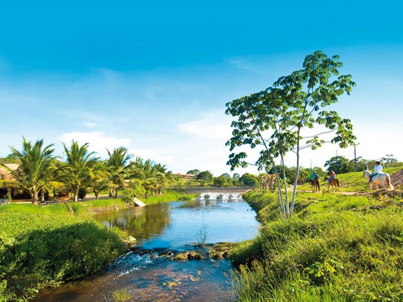 São José de Mipibu Rio Das Garcas Eco Resort מראה חיצוני תמונה